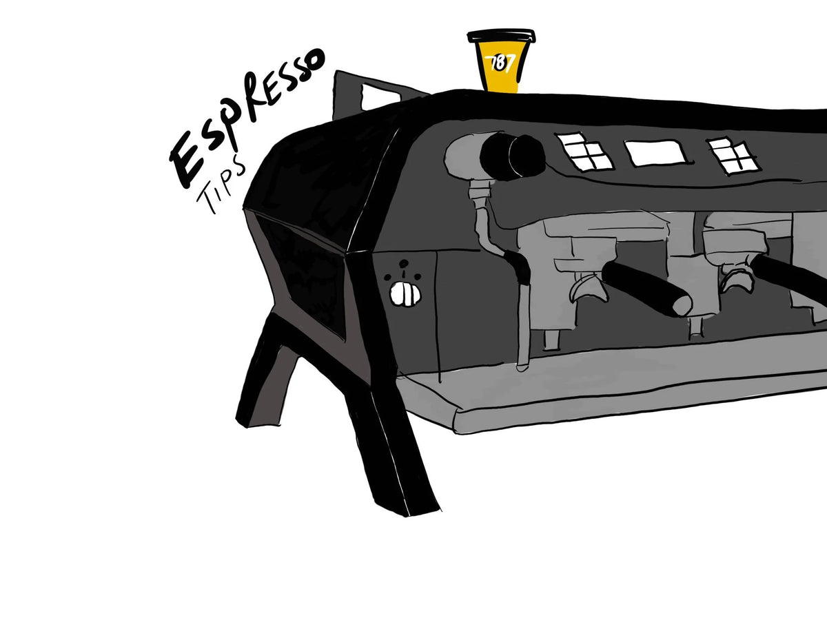 Become a Professional Home Barista: 6 Espresso Tips Every Home Barista Needs By 787 Coffee