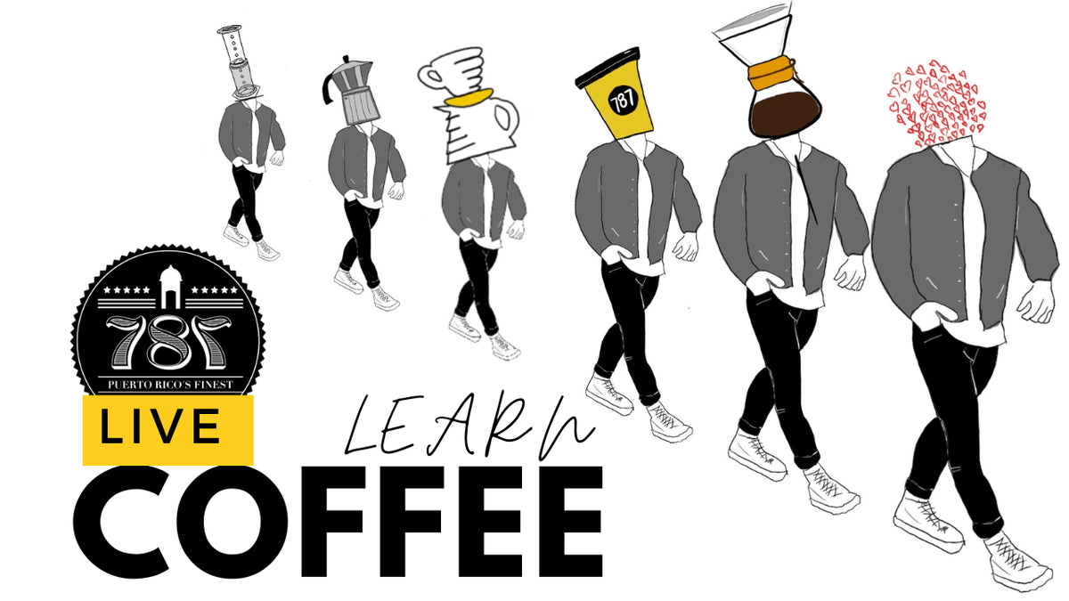 787 Coffee's 24-Hour YouTube Channel: Brewing a New Way to Experience Coffee Culture | 787 Coffee TV