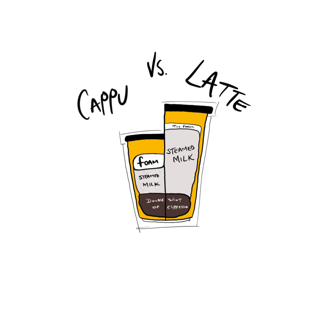 Cappuccino VS Latte, Which One is Better? With 787 Coffee
