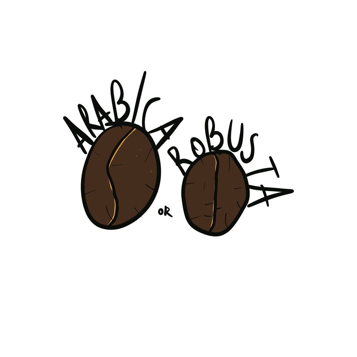 Robusta Or Arabica: Which One Is Perfect For YOU?