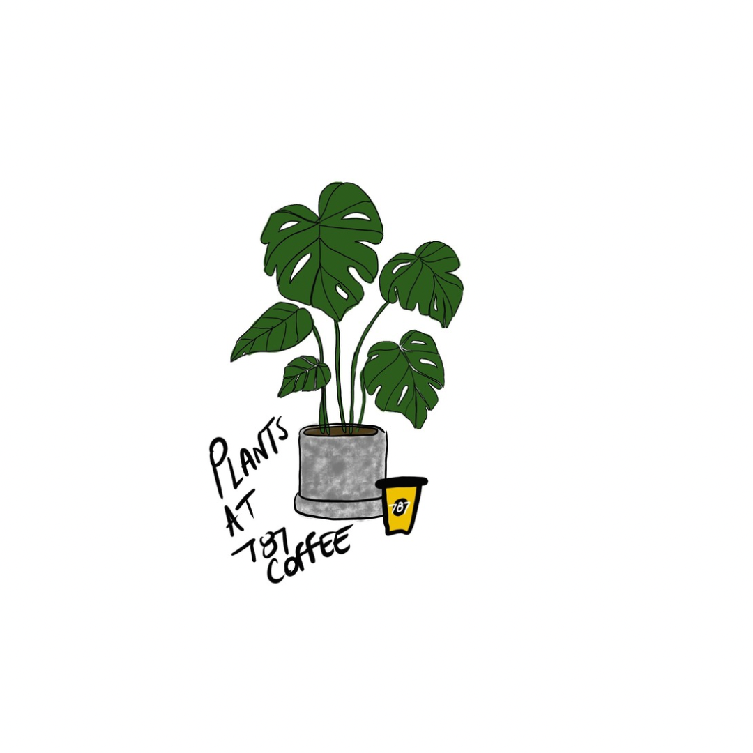 The Magic of Plants: The Story Behind Plants at 787 Coffee