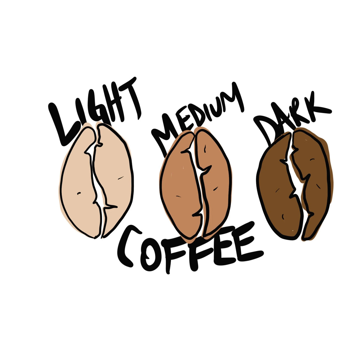 Light, Medium, or Dark Roast? Discover the Perfect Coffee Roast for Your Taste | 787 Coffee’s Guide to Coffee Roasts