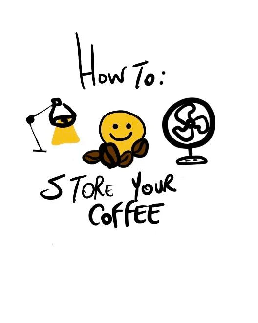 How to Store Coffee Beans the Right Way (Hint: You Might Be Doing It Wrong)