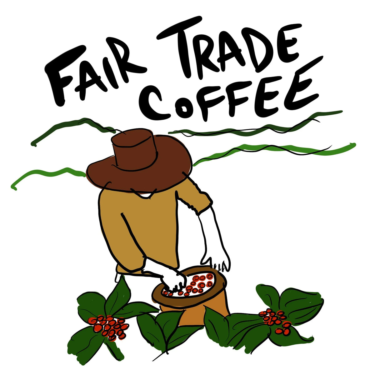 What Is Fair Trade Coffee and Why It Matters: A Coffee Lover’s Guide