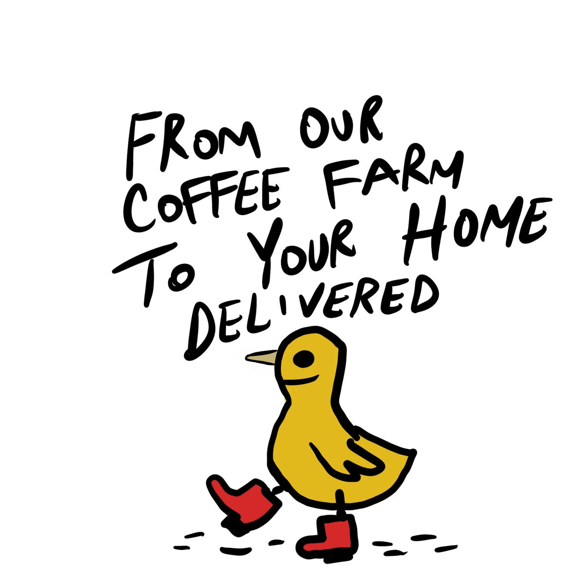 How to Get Specialty Coffee Delivered From our Farm to Your Door