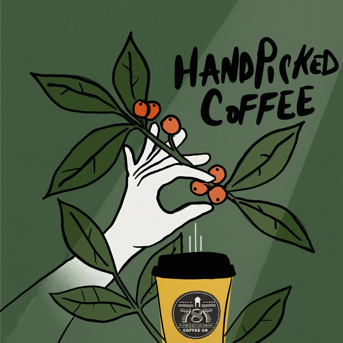 Handpicked Perfection: Why Your 787 Coffee is a Cut Above