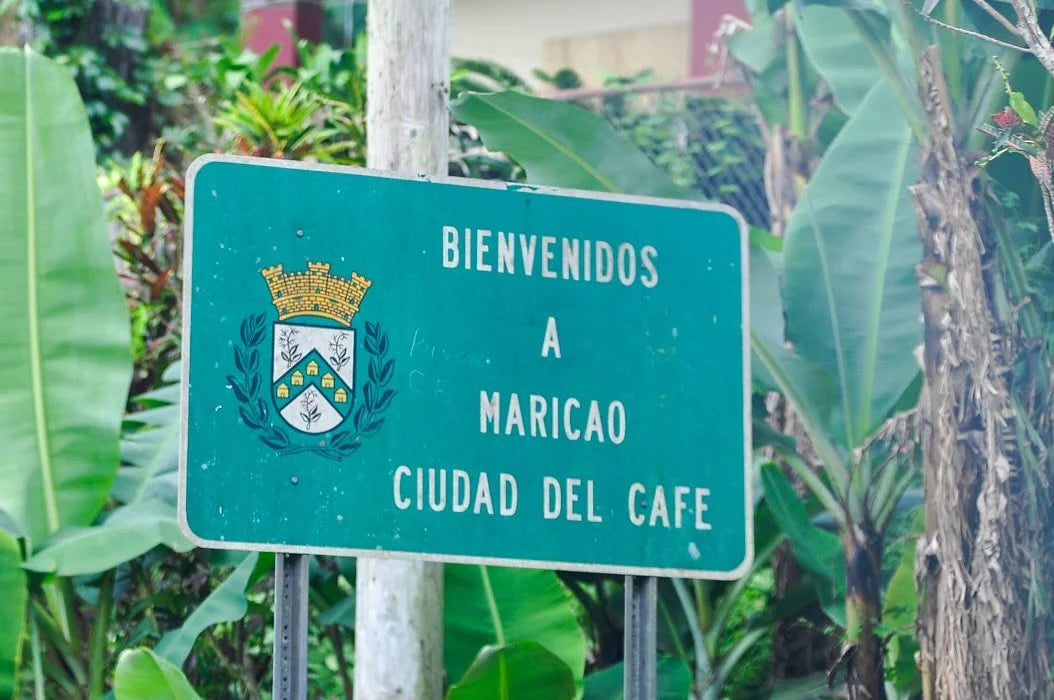 Sipping Memories: Celebrating Maricao's 150th Anniversary with 787 Coffee