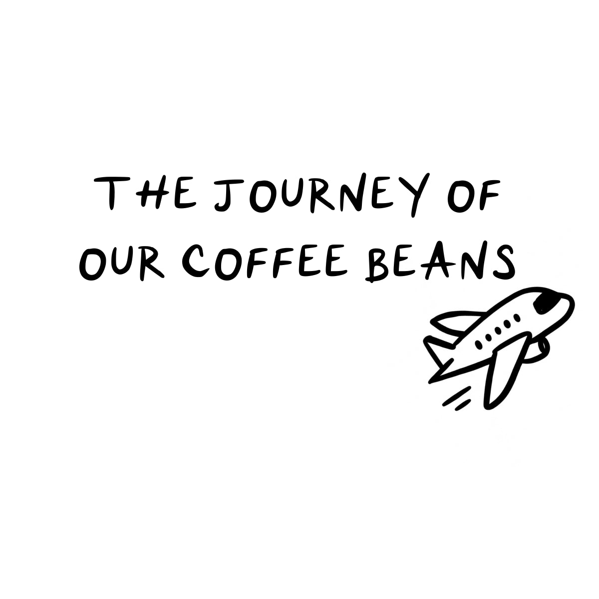 From Puerto Rico to Your Cup: The Journey of 787 Coffee Beans