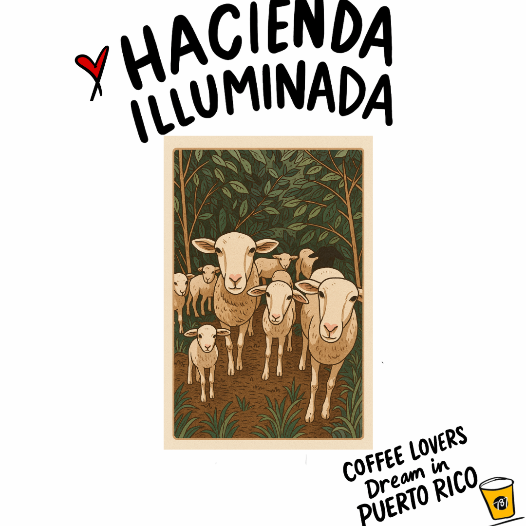 Unlock the Secrets of Specialty Coffee: A Journey to Hacienda Iluminada