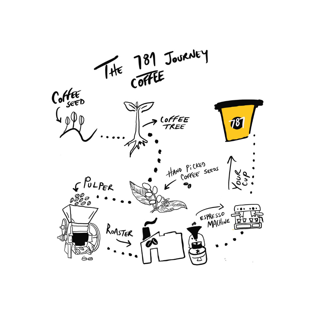 From Ancient Lands to YOUR Cup: The Caffeinated Journey of Coffee! 