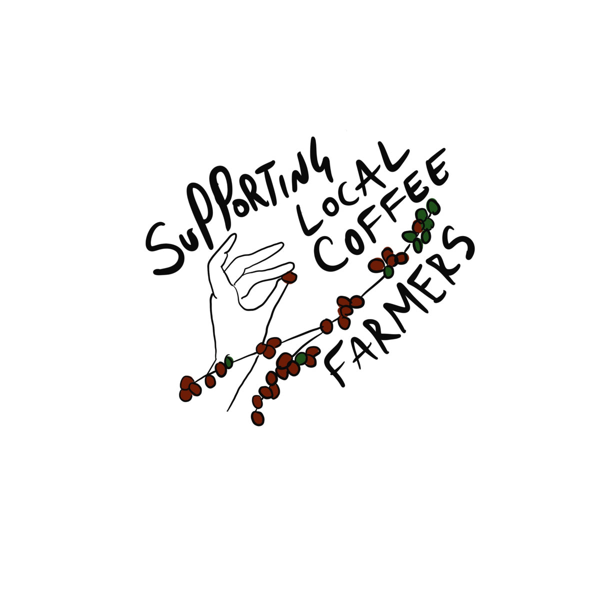 Supporting Puerto Rico's Coffee Industry: 787 Coffee's Commitment to Local Farmers and Specialty Coffee