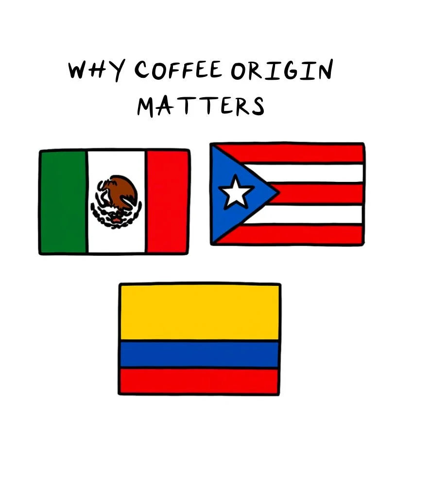 Why Coffee Origin Matters: A Complete Guide from 787 Coffee Experts