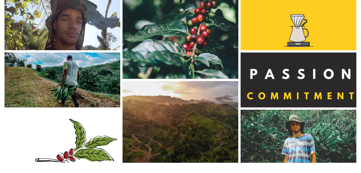 Hacienda Iluminada, the 787 Coffee farm in Maricao, Puerto Rico