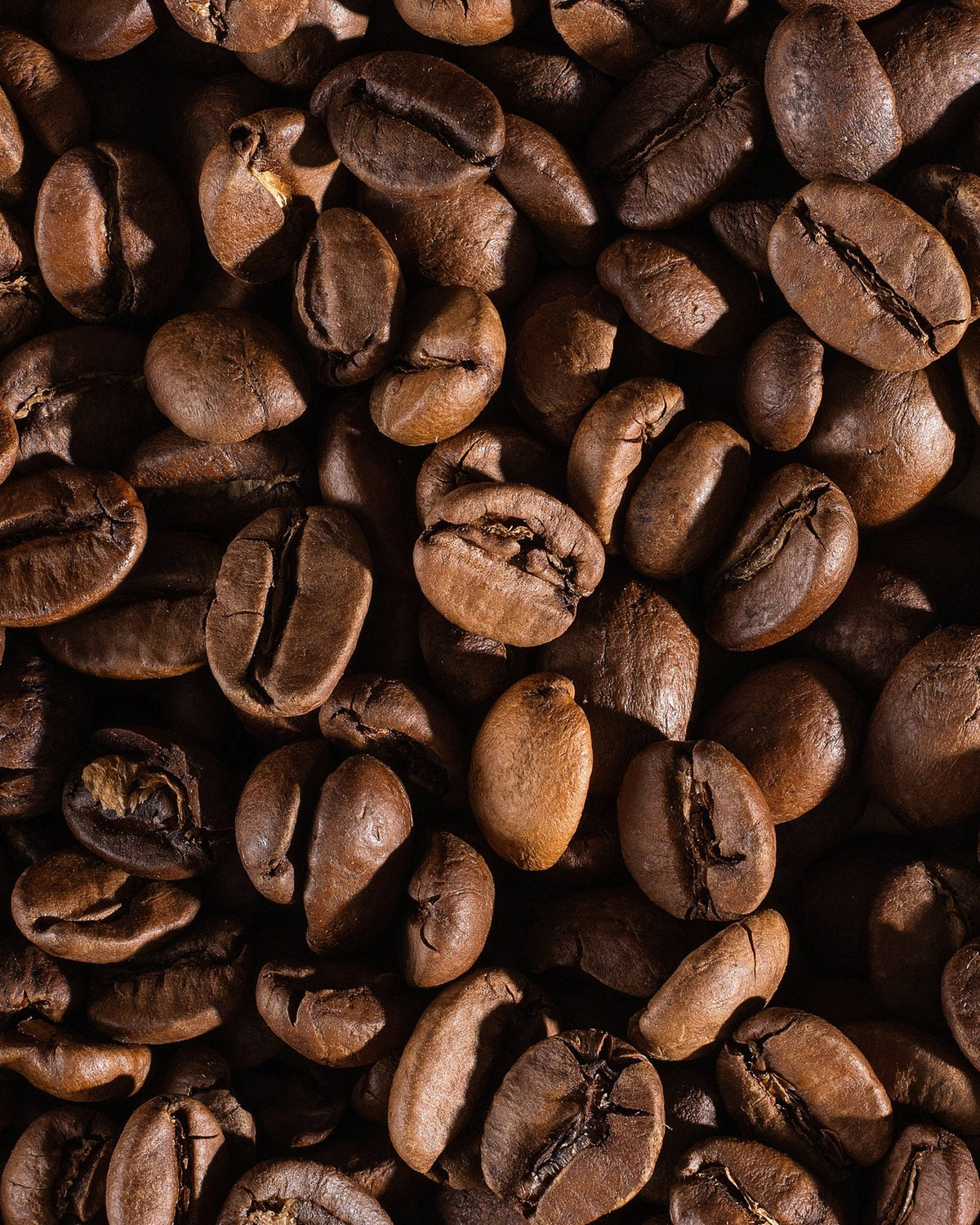 787 coffee whole coffee bean zoom in